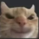evilnavvu