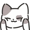 08