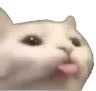 Cat Lick cat_lick Discord Emoji