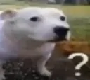 0f5bfdfcf6894f9fa92c51362bd4fd1b