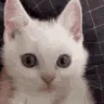 angry