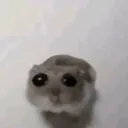 sadmouse