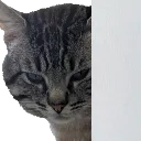 boogie_peek