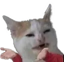 bruh