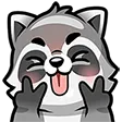 Raccoon_112_41 Raccoon_112_41