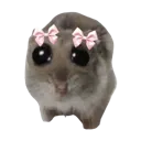 sadHamster