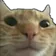 Cathmm cathmm Discord Emoji