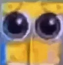 spunchbob spunchbob
