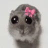 hamsterbow