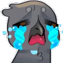 pcrowCry