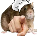 rat_tu_y