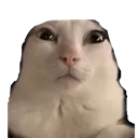 reginald