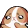 2594bunnyuppies