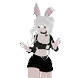 6026bunnygirlspin