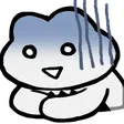 shayyWhy