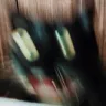 wowcat