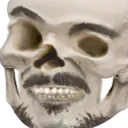 bonE