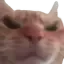 mad