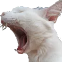 leroy_screm