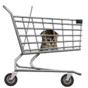sadcart2
