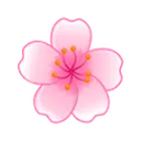 2412sakuraflower