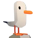 Seagull