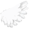 rwing