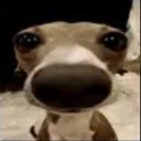 __