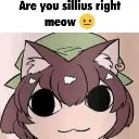 are_you_silly