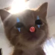 ilyterrorClown