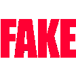 fake