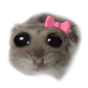 Sad_Hamster_Coquette_Girl