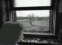 pepe_man