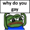 1stFG_Why_r_u_gay