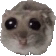 hamsterstare Discord emoji