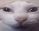 gewrsa