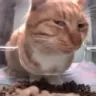 side_eye