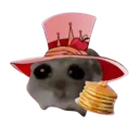 hampterLuci
