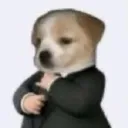 businessdog businessdog