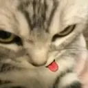 Hehe1 hehe1 Discord Emoji