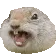 gopher_scream