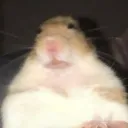 HammerGuh