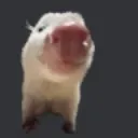 poss