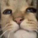 why