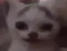 melon