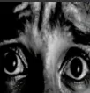 fear