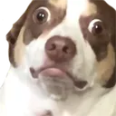5897mrbubz