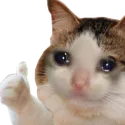CatOK
