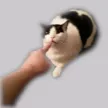 boop boop