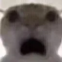 NoWay
